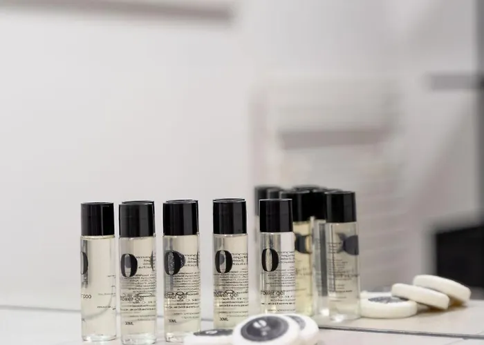 Botanica Deluxe With Balcony & Ac - Properunit Breslau