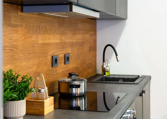 Botanica Deluxe With Balcony & Ac - Properunit * Breslau